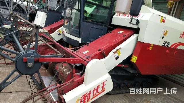 东方红 - 图片 11