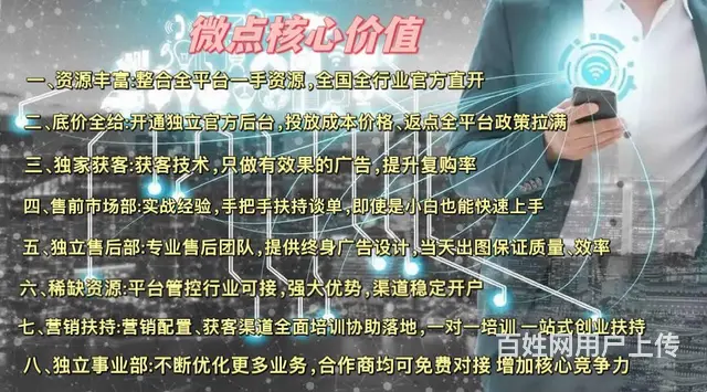 信息流广告代理加盟市场轻资项目 总部一站式扶持 - 图片 2