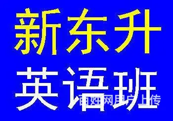 洛阳学英语，商务英语，专升本英语 - 图片