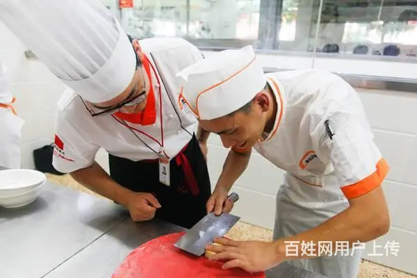 没学历学技术选什么专业好，学厨师行吗 - 图片 3