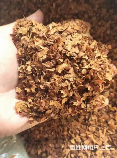 正宗东北关东烟哪里有卖的？无香料有串味的旱烟 - 图片 2