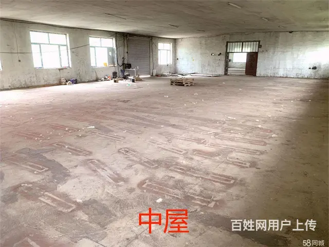 松北新区厂房冷库出租 - 图片 7