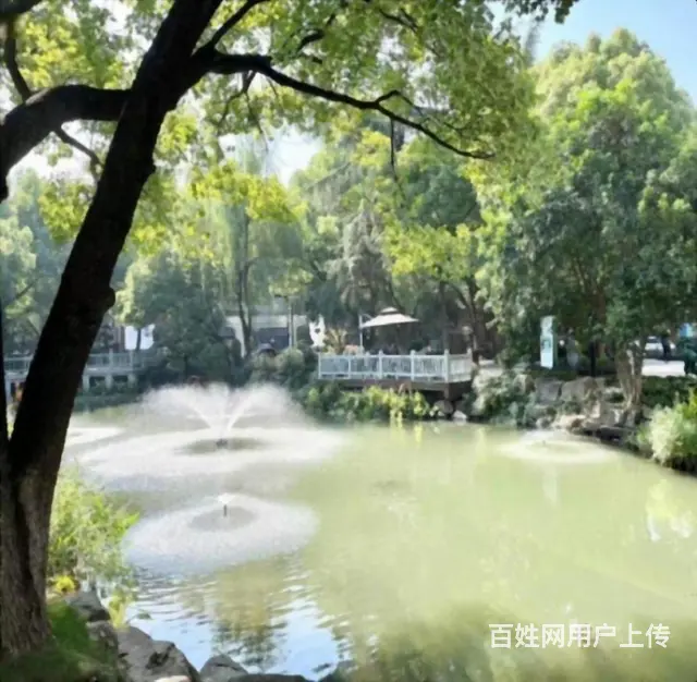 翠苑52.70平南北精装修上班族的 - 图片 12