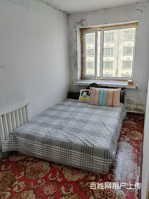 出租出卖鹤岗一中后门园丁楼6楼65平 - 图片 5