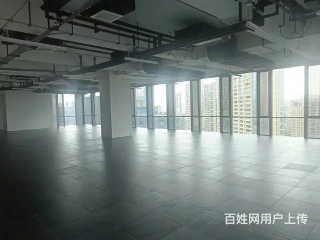 大关地铁口远洋国际中心绿地中央150方280方房东诚心出售 - 图片 6