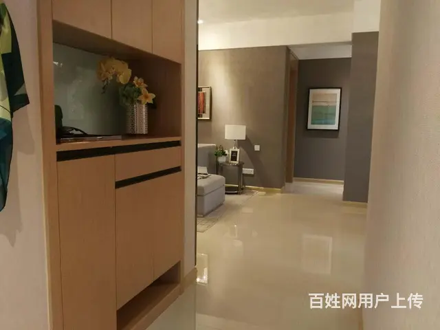 全椒国建理想城 高铁站旁 医院对面学区 即买即赚 - 图片 8