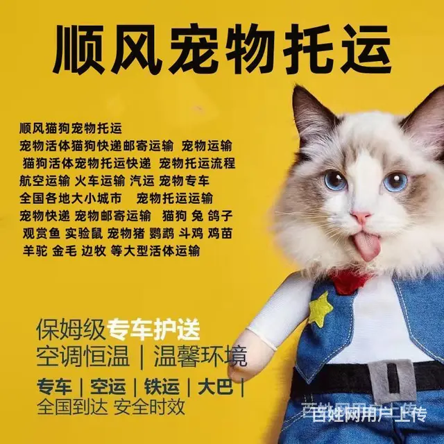 烟台莱阳宠物托运（猫狗）活体邮寄快递（2022宠物运输 ）今 - 图片 1