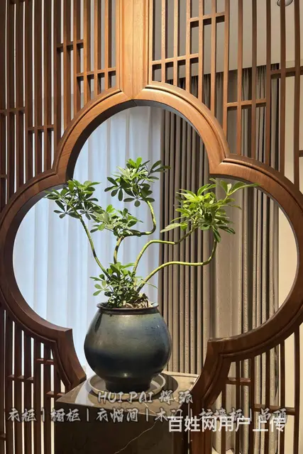 长沙全房实木家具销售,实木衣柜门,酒柜订制质量创优 - 图片 5