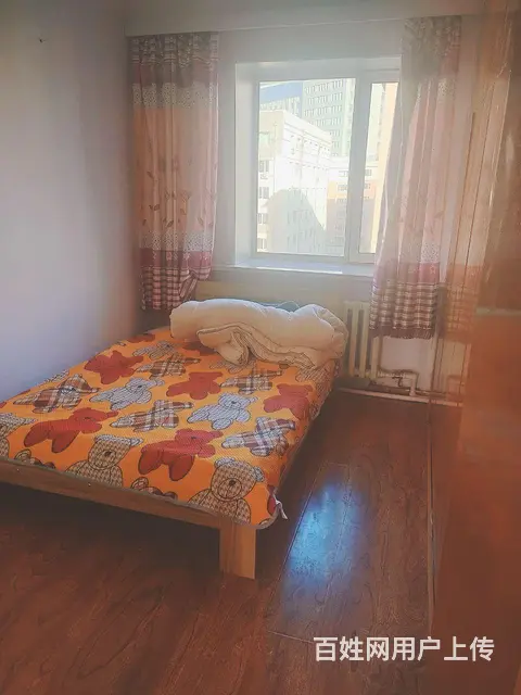 新鹤b - 图片 3