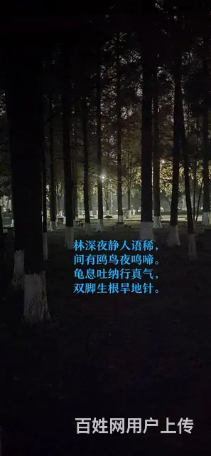 道家气功私教课程 - 图片 1