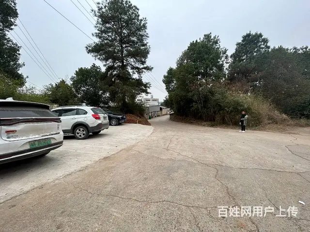 （老板本人）开福区捞刀河独院厂房仓库带场地出租  5741 - 图片 3