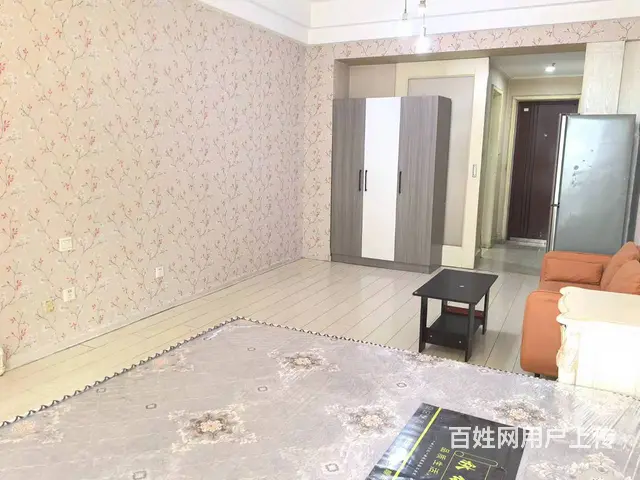 中街大悦城旁，精装公寓，1300元/月，押一付一，家电全 - 图片 3
