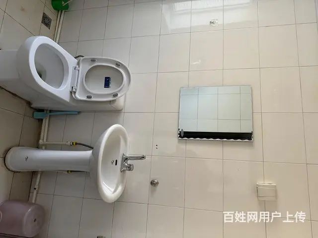 拎包入住整房出租 - 图片 5