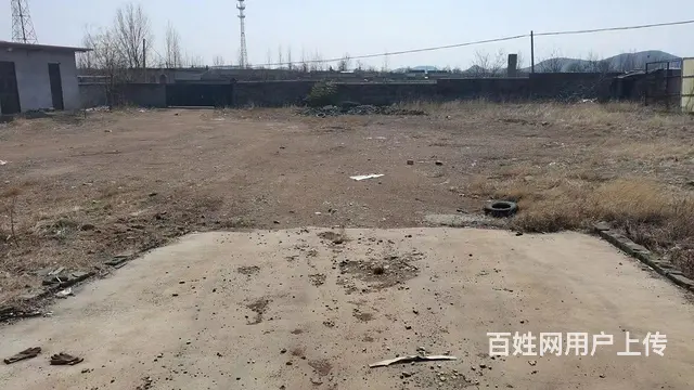 (58今铺)兰陵县流井镇 660平厂房带大院 可租可售 - 图片 6