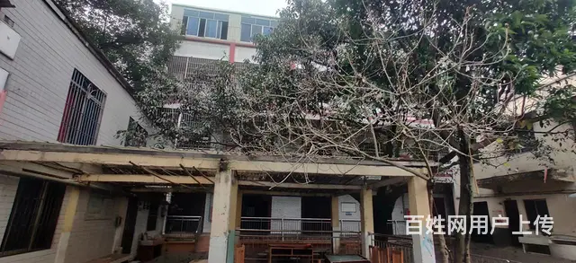 双证齐全独栋小院 - 图片 5