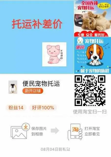 宠物托运服务 淘宝店服务欢迎咨询 - 图片 4