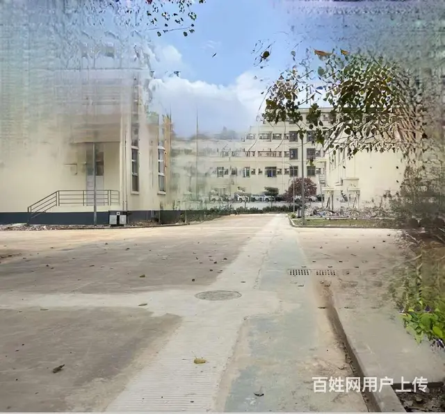 低价出售唐家高新区工业厂房23亩 - 图片 6
