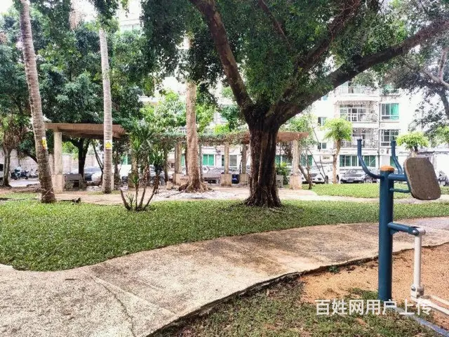 出售南沙路  明珠星苑3房电梯房 - 图片 10