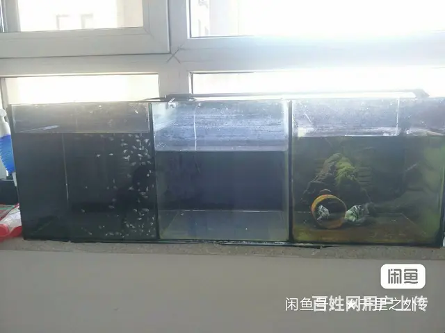 【搞定了！】卖鱼缸 - 图片