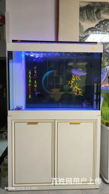 【搞定了！】九成九新底过滤鱼缸 - 图片 1