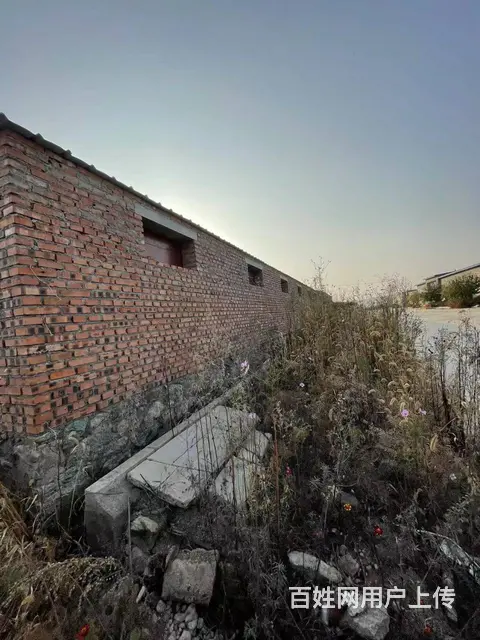 5亩地 养殖场大院 出租 离市内近 - 图片 2