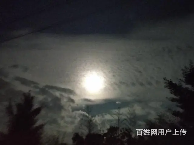 阿尔法-罗密欧 阿尔法-罗密欧ALFA 147(进口) 20 - 图片