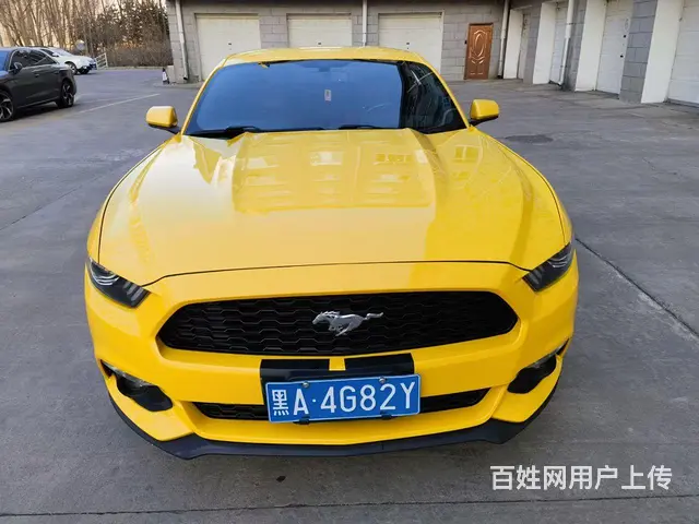 福特Mustang [野马] 2016款 2.3T 手自一体 - 图片 9