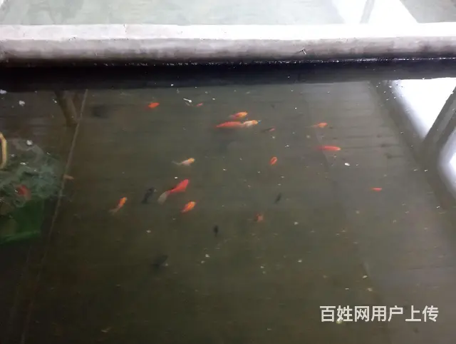 电话联系 - 图片 3