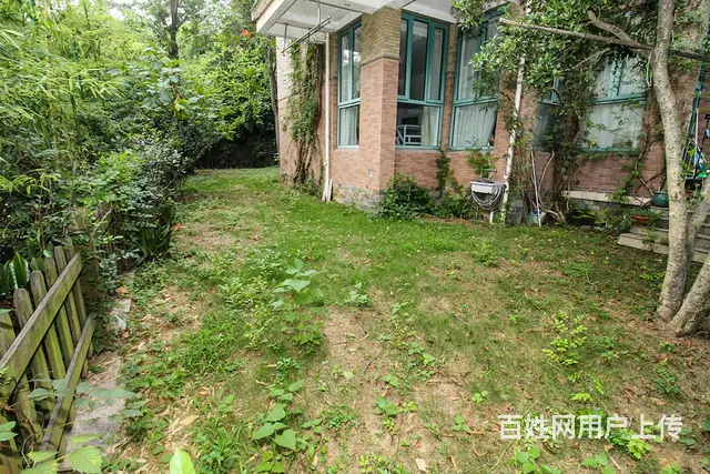 科技城近河独栋别墅，大院子，大露台，小区景观优美，实用面积大 - 图片 10