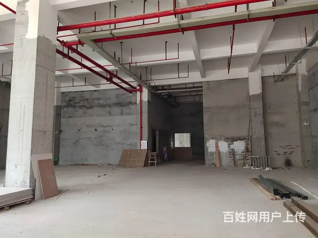 金湾红旗中心位置（全新办室出租） - 图片 7
