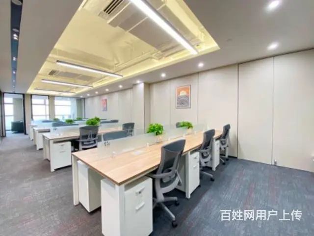 西南财大丨西门高品质精装可订制丨蓝润摩里中心人力资源 - 图片 11