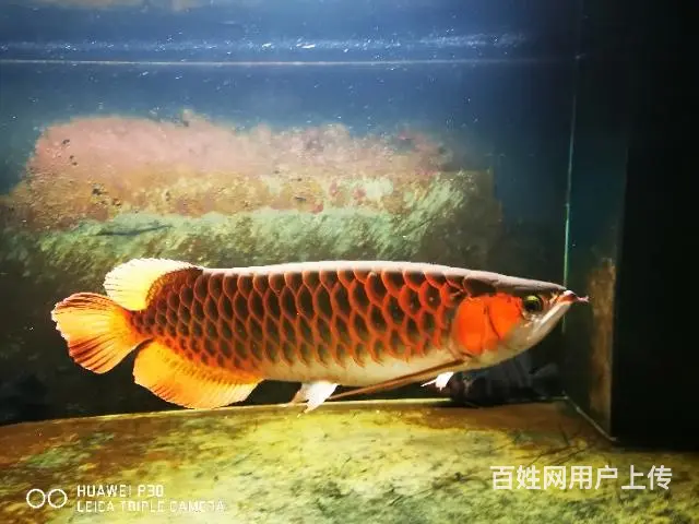 上岸！！ - 图片 10