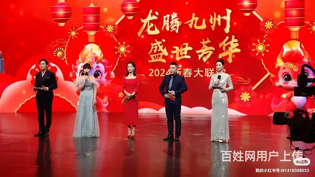 北京电视台特邀主持人 沈阳婚礼主持人南扬 - 图片 3