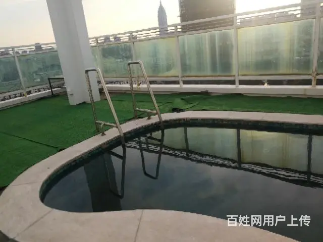 天安花园顶复，带游泳池 - 图片 2