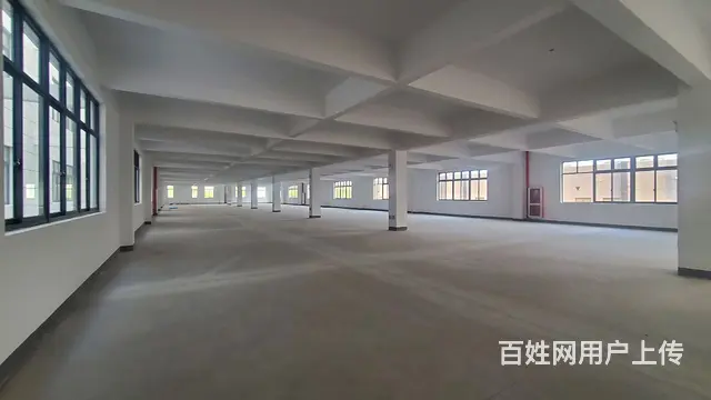 秀洲嘉北底楼1200，高7.6有牛腿，全新厂房不拆迁！ - 图片 2