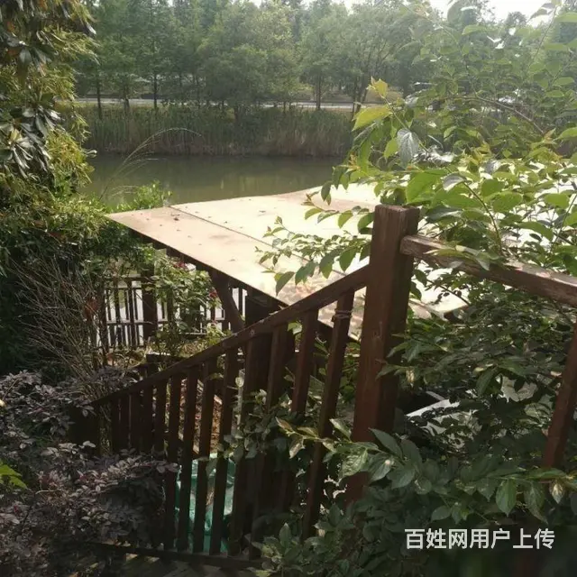 恐龙园旁长兴秀江南联排别墅边户毛坯245平米南进户 - 图片 2