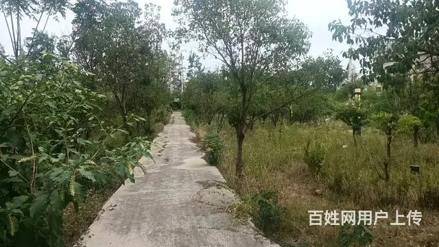 西岗镇北环东路3000平庄园及50亩地出租 - 图片 10