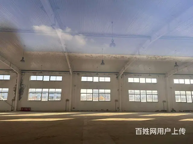 （新房源）初村钢结构独门独院8米高厂房大院子出租 - 图片 6
