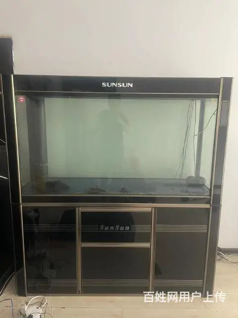 鱼缸 - 图片