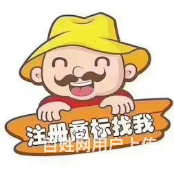 税务登记、代理记账、纳税申报、税盘托管、包开发票 - 图片 4