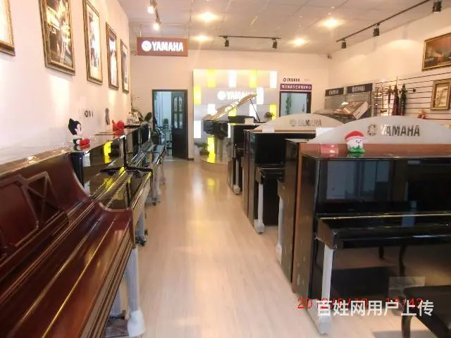 烟台去哪买雅马哈钢琴 - 图片 2