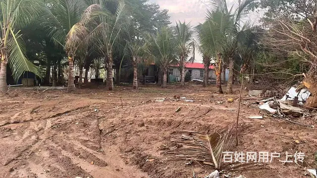 （51旺铺推荐）陵水144亩土地转让 - 图片 5