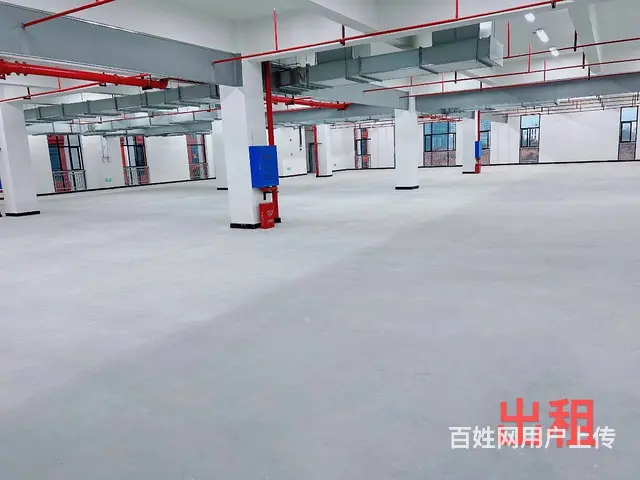 （老板本人）高新区全新标准厂房仓库招租  5849 - 图片 4