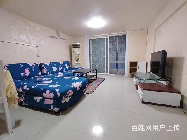 华美空间保税区旁古龙公寓二房出租 - 图片 1