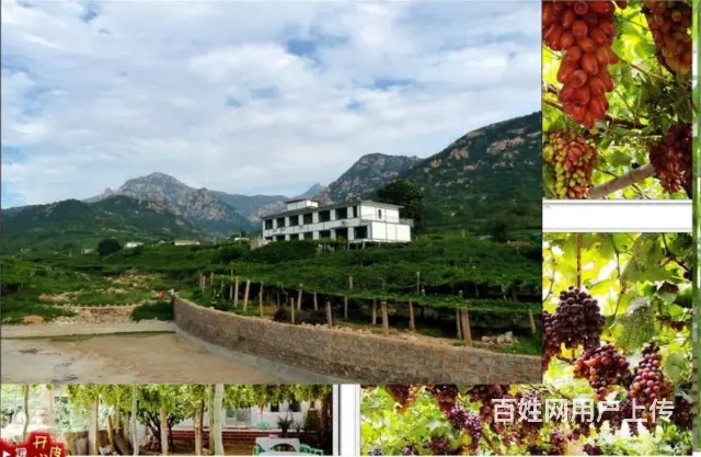 秦皇岛正式的北戴河渔岛附近住宿商家微信号怎么找 - 图片 3