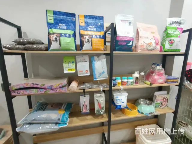 香坊安埠街宠物店 宠物美容店铺转让 - 图片 3