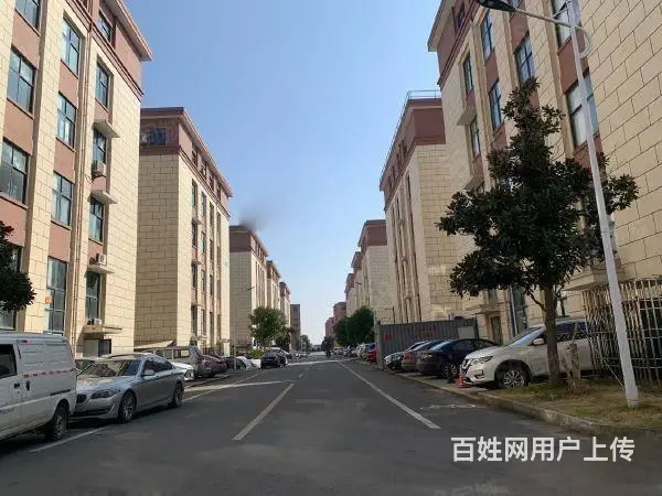 飞跃科技园东区单层办公600平方 - 图片 1