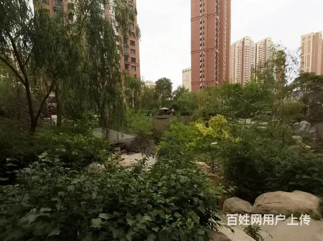 儒之源花苑|五四西路85号2室1厅1卫62.04平 - 图片 10