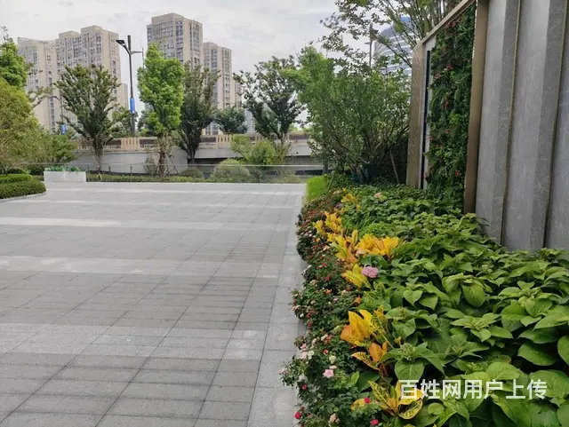 滨江龙湖天街，圆伦大厦，精装拎包，采光通透，价格条件好谈！ - 图片 12