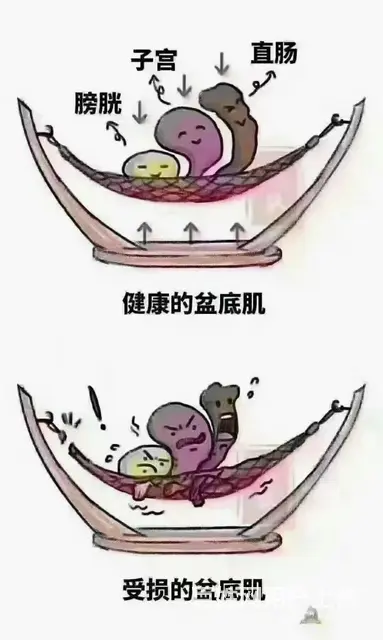 免费培训月嫂儿推催乳养老护理 - 图片 6